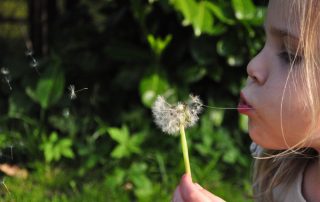 15 persoonsgerichte zorg