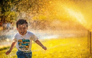 Blog 17 flow