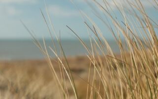 pensioentraining-aan-zee-essenburgh