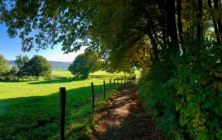 piz-limburg-essenburgh