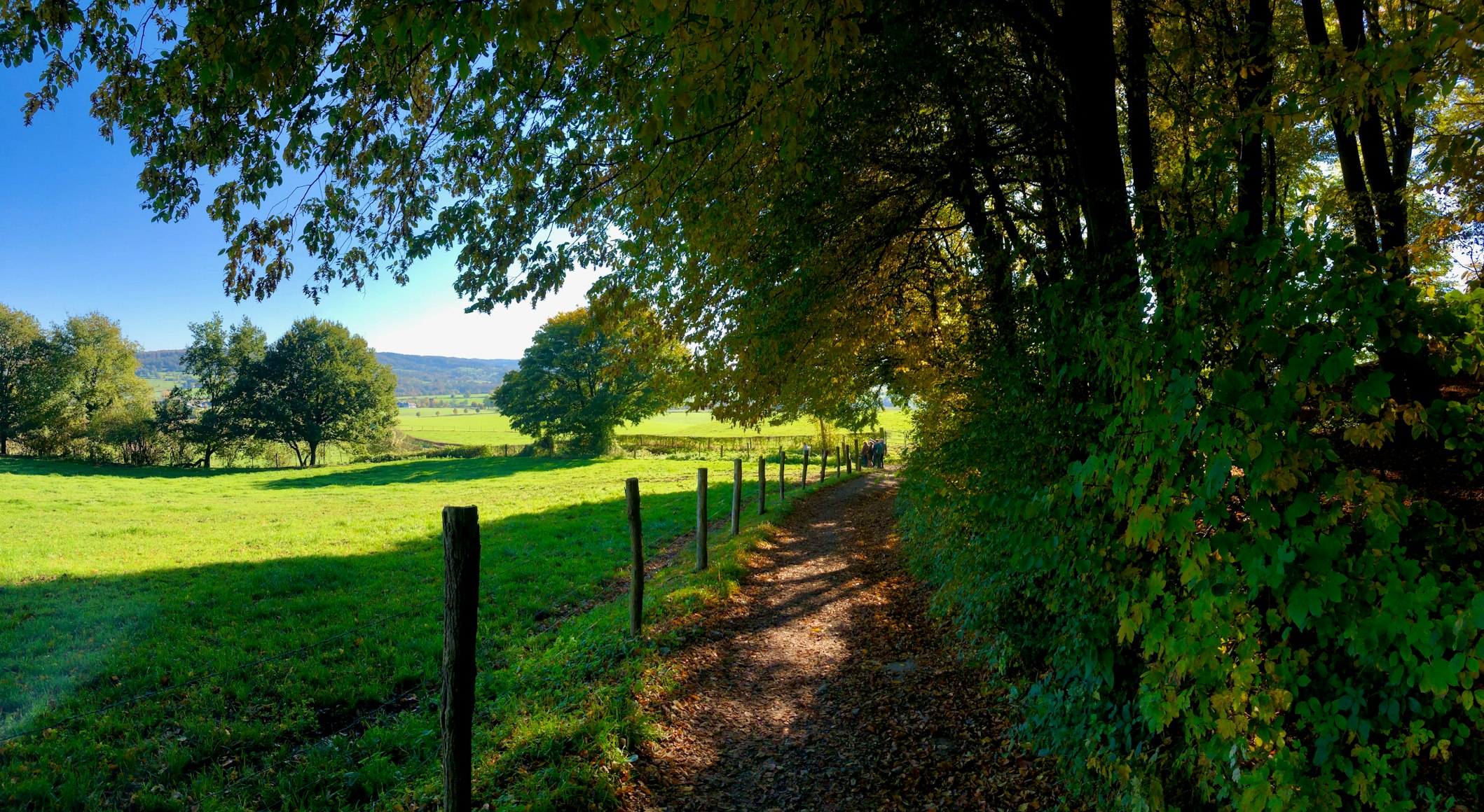 piz-limburg-essenburgh